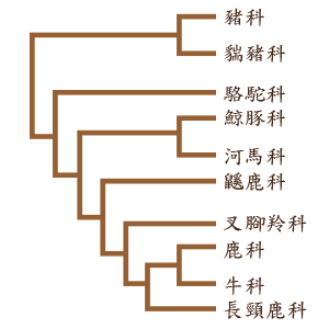 插圖