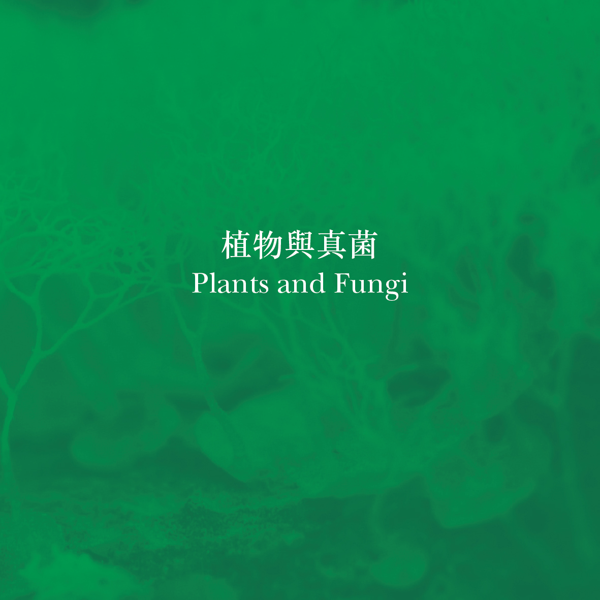 植物與真菌