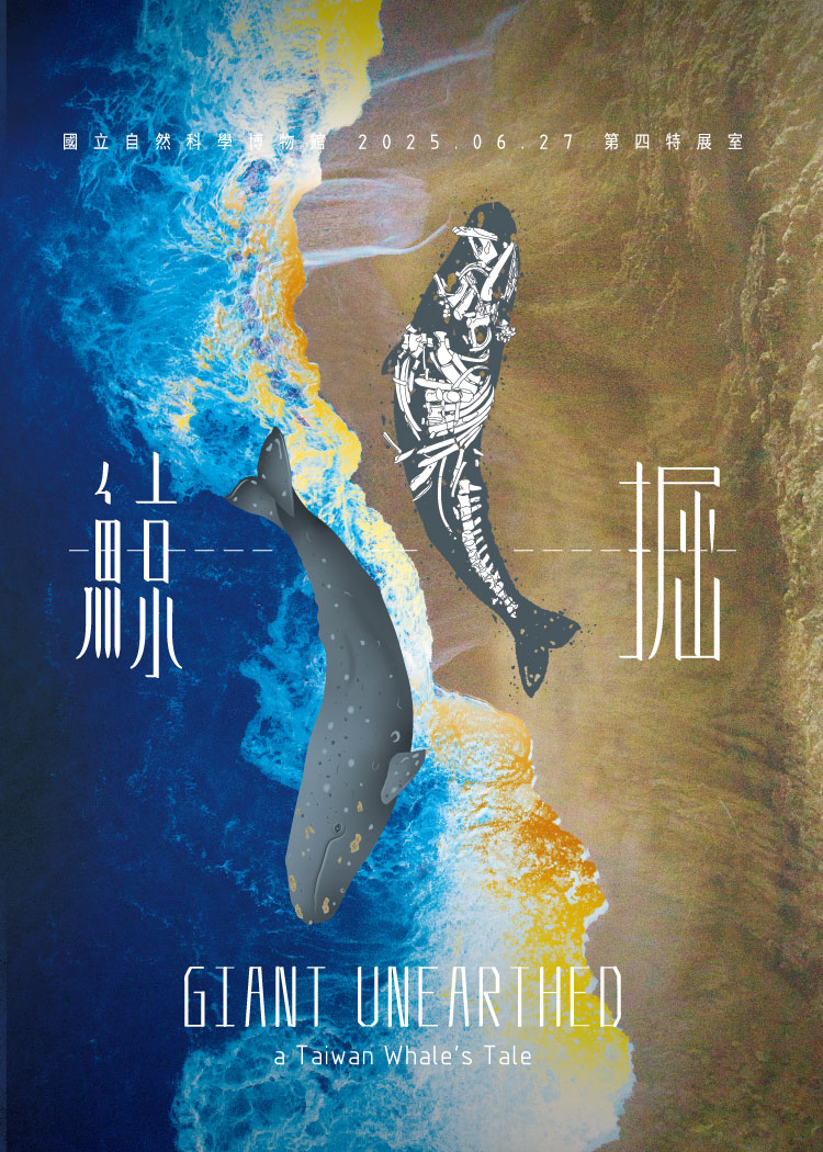 鯨掘特展主視覺，以海浪與沙灘為背景，呈現一隻灰鯨與其骨骼化石，展期為2025年6月27日，地點為國立自然科學博物館第四特展室，英文標題為「GIANT UNEARTHED – a Taiwan Whale’s Tale」