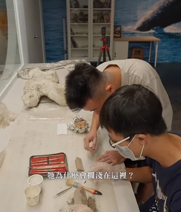 原來鯨魚比你還懂臺灣？！短影音畫面截圖