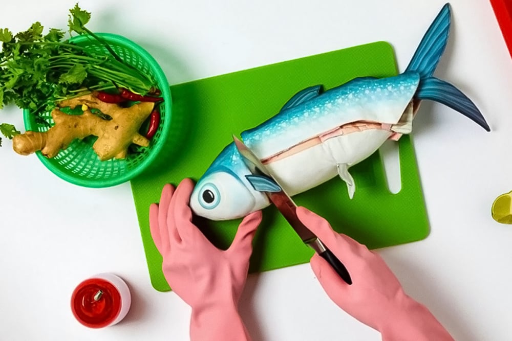 虱目魚教具照片