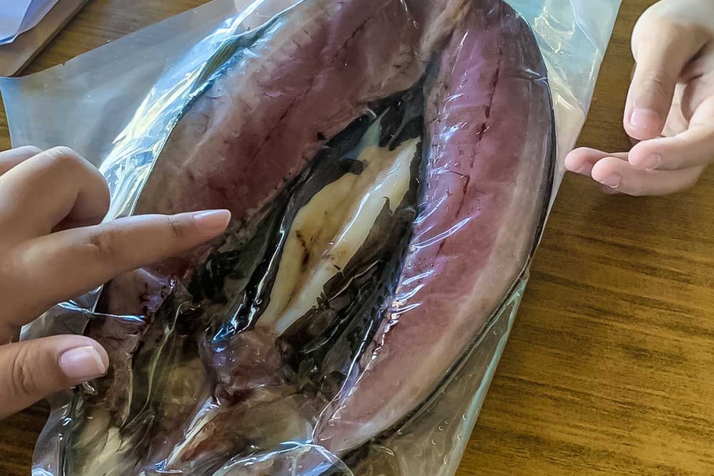 虱目魚教具照片