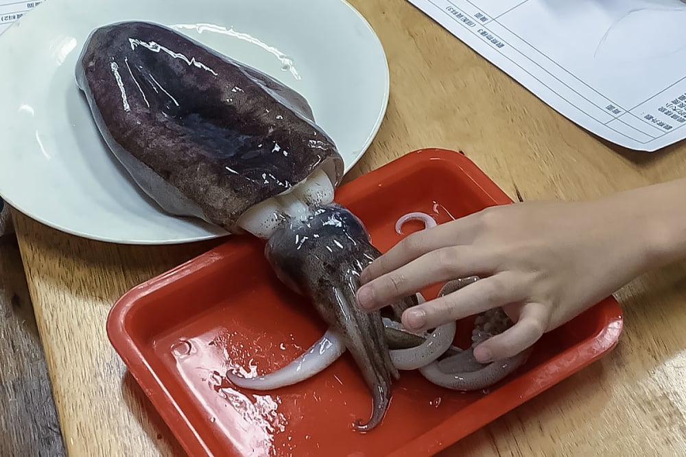 魷魚照片