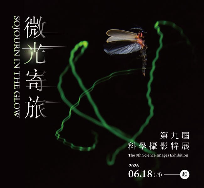 微光寄旅-第9屆科學攝影特展網路邀請卡-鋸角雪螢的彩帶舞-張少鈞