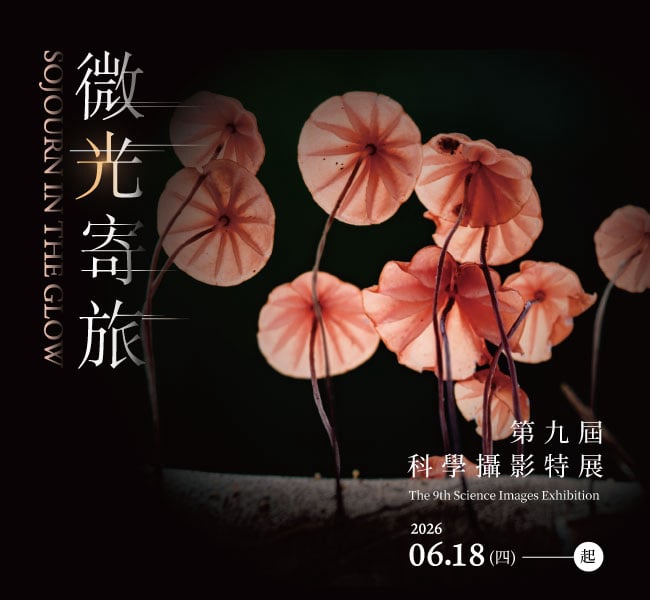 微光寄旅 - 第9屆科學攝影特展 網路邀請卡-雨季的精靈-菇蕈 -劉佳明