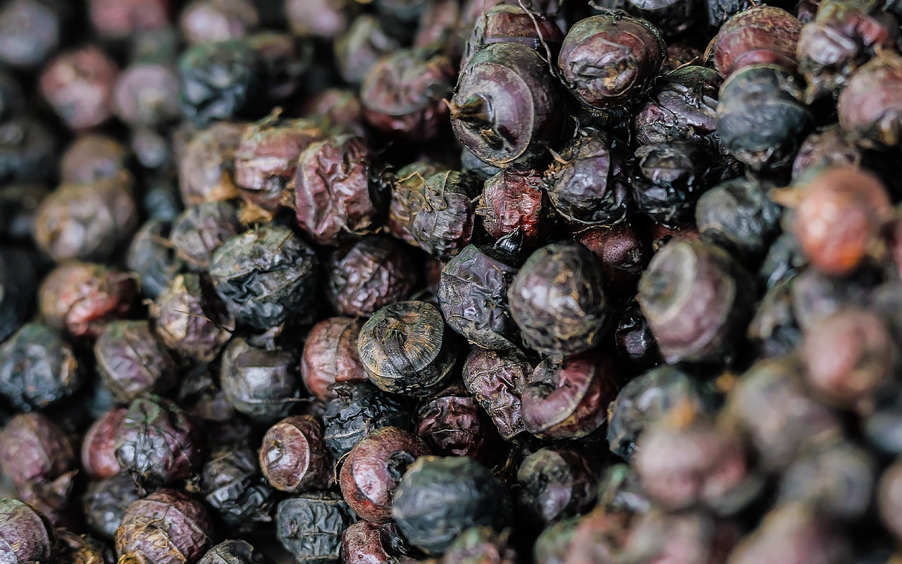 大量採收後的荸薺球莖，外皮呈現深紫色至褐色，質地粗糙且帶有泥土感。