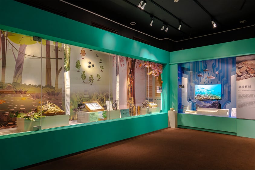 自然共生生態嚮艷特展生態共融區：物種介紹