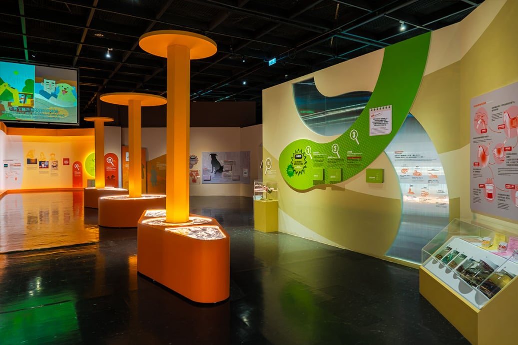 「看見你我他牠它」特展展區全景，包含橘色柱狀展示台、綠色解剖圖文展牆與標本櫃