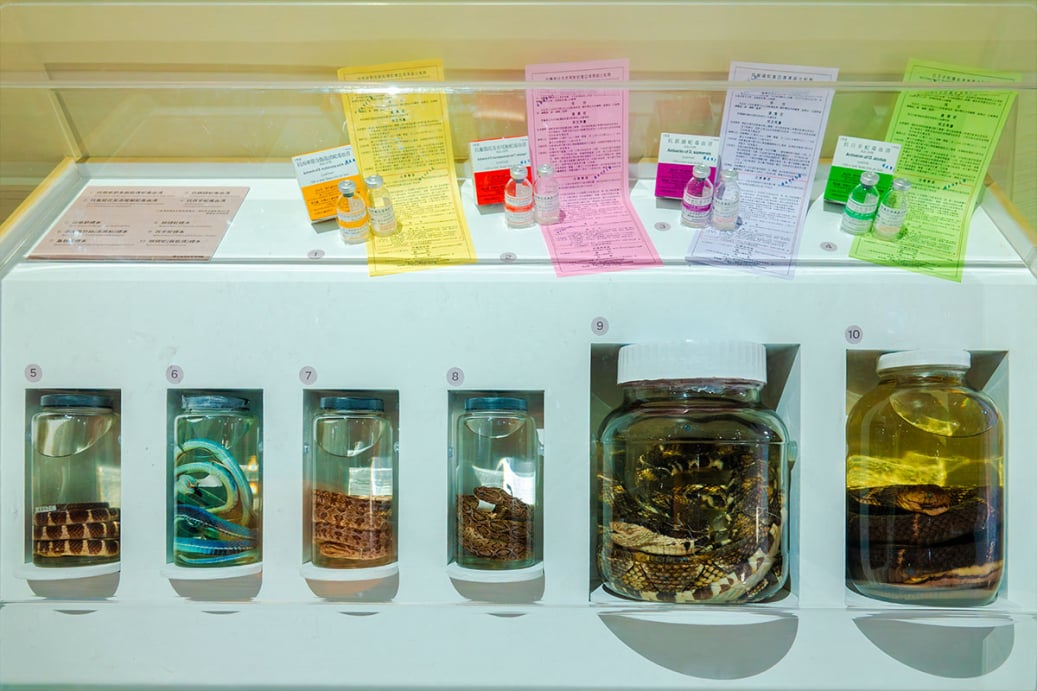 抗蛇毒血清藥瓶與毒蛇浸液標本展示櫃