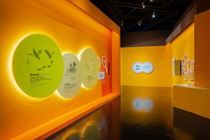 「看見你我他牠它」特展第一區「我們的鄰居」，黃色展廊與「野外生存圈」等圓形發光展板