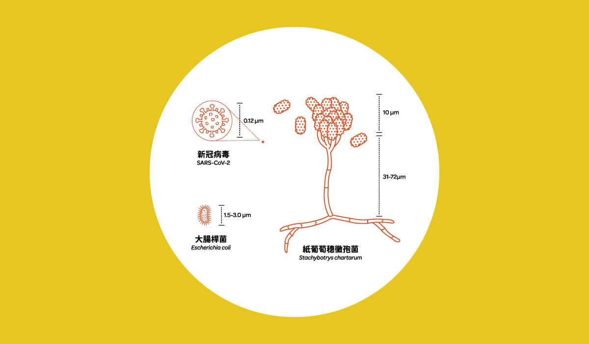看見你我他牠它－健康一體的行動密碼特展微觀世界單元配圖：細菌與病毒之大小對比，呈現微生物與環境失衡的關聯。