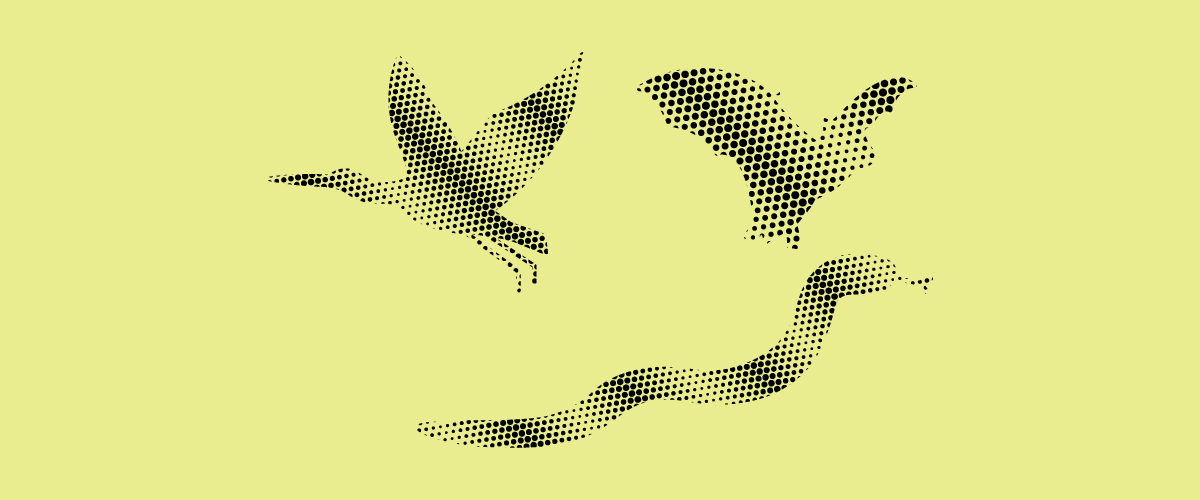 野外生存圈中的生物剪影插圖，呈現空中的飛鳥與地面的蛇類，傳達在森林與空中遷徙路線中，野外生物因環境受擾動而將潛在疾病風險帶近人類生活的意象。
